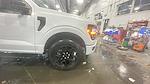 New 2025 Ford F-150 STX SuperCrew Cab 4WD Pickup for sale #C251733 - photo 21