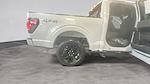 New 2025 Ford F-150 STX SuperCrew Cab 4WD Pickup for sale #C251733 - photo 22