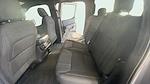 New 2025 Ford F-150 STX SuperCrew Cab 4WD Pickup for sale #C251741 - photo 18