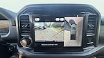 New 2025 Ford F-150 XLT SuperCrew Cab 4WD Pickup for sale #C251743 - photo 24