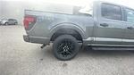 New 2025 Ford F-150 STX SuperCrew Cab 4WD Pickup for sale #C251753 - photo 22