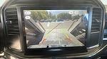 New 2025 Ford F-150 STX SuperCrew Cab 4WD Pickup for sale #C251754 - photo 27