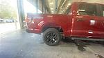 2025 Ford F-150 SuperCrew Cab 4WD Pickup for sale #C251776 - photo 22