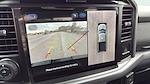 2025 Ford F-150 SuperCrew Cab 4WD Pickup for sale #C251797 - photo 29