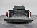 New 2025 Ford F-150 STX SuperCrew Cab 4WD Pickup for sale #C251803 - photo 19