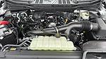New 2025 Ford F-150 STX SuperCrew Cab 4WD Pickup for sale #C251803 - photo 25