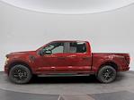 New 2025 Ford F-150 STX SuperCrew Cab 4WD Pickup for sale #C251804 - photo 3