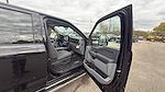 New 2025 Ford F-150 XLT SuperCrew Cab 4WD Pickup for sale #C251908 - photo 13
