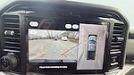 New 2025 Ford F-150 XLT SuperCrew Cab 4WD Pickup for sale #C251908 - photo 20