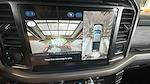 2025 Ford F-150 SuperCrew Cab 4WD Pickup for sale #C259019 - photo 19