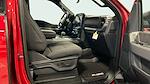 2025 Ford F-150 SuperCrew Cab 4WD Pickup for sale #C259075 - photo 13