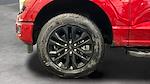 2025 Ford F-150 SuperCrew Cab 4WD Pickup for sale #C259075 - photo 24