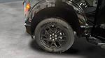 2025 Ford F-150 SuperCrew Cab 4WD Pickup for sale #C259080D - photo 24