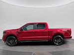 New 2025 Ford F-150 STX SuperCrew Cab 4WD Pickup for sale #C259081D - photo 3