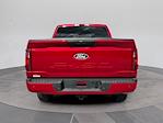 New 2025 Ford F-150 STX SuperCrew Cab 4WD Pickup for sale #C259081D - photo 4