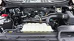 New 2025 Ford F-150 STX SuperCrew Cab 4WD Pickup for sale #C259081D - photo 18