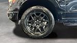 2025 Ford F-150 SuperCrew Cab 4WD Pickup for sale #C259267 - photo 22