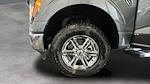 2025 Ford F-150 Super Cab 4WD Pickup for sale #C259331 - photo 20