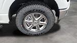 2025 Ford F-150 Super Cab 4WD Pickup for sale #C259341 - photo 21