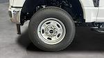 2025 Ford F-250 Regular Cab 4WD Pickup for sale #C259664 - photo 19