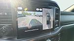 New 2025 Ford F-150 XLT SuperCrew Cab 4WD Pickup for sale #C259881 - photo 24