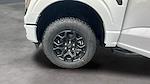 2025 Ford F-150 SuperCrew Cab 4WD Pickup for sale #C259882 - photo 17
