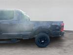 New 2026 Ford F-250 Crew Cab 4WD Pickup for sale #C261764 - photo 20