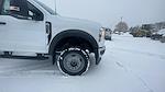 New 2026 Ford F-450 Regular Cab Cab Chassis for sale #C261999 - photo 20