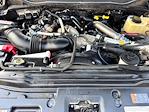 2017 Ford F-250 Crew Cab 4x4 Pickup for sale #27360 - photo 16