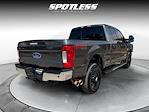 2017 Ford F-250 Crew Cab 4x4 Pickup for sale #27360 - photo 9