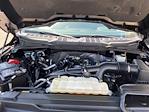 2021 Ford F-150 SuperCrew Cab 4x2 Pickup for sale #P15797 - photo 38