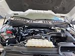 2023 Ford F-150 SuperCrew Cab 4x2 Pickup for sale #P15818 - photo 35