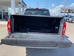 2023 Ford F-150 SuperCrew Cab 4x4 Pickup for sale #P15837 - photo 6