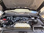2023 Ford F-150 SuperCrew Cab 4x4 Pickup for sale #P15838 - photo 38