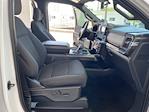 2022 Ford F-150 SuperCrew Cab 4x2 Pickup for sale #P15841 - photo 13