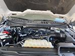 2023 Ford F-150 SuperCrew Cab 4x4 Pickup for sale #P15843 - photo 38