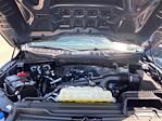 2023 Ford F-150 Super Cab 4x2 Pickup for sale #P15848 - photo 37
