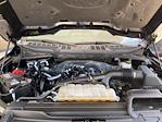 2023 Ford F-150 SuperCrew Cab 4x4 Pickup for sale #P15851 - photo 40