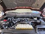 2023 Ford F-150 SuperCrew Cab 4x4 Pickup for sale #P15855 - photo 38