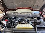 2023 Ford F-150 SuperCrew Cab 4x4 Pickup for sale #P15862 - photo 36