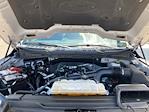 2023 Ford F-150 SuperCrew Cab 4x4 Pickup for sale #P15863 - photo 39
