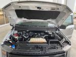 2022 Ford F-150 SuperCrew Cab 4x2 Pickup for sale #P15934 - photo 36