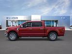New 2025 Ford F-150 XLT SuperCrew Cab for sale #S0199 - photo 21