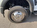 New 2025 Ford F-450 Crew Cab 12' Premier Truck Center for sale #S0390 - photo 14