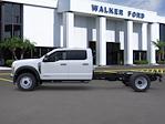2025 Ford F-550 Crew Cab DRW 4x4 Premier Truck Center Landscape Dump for sale #S0545 - photo 4