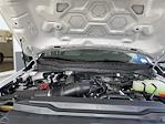 2025 Ford F-250 Crew Cab 4x4 Reading Service Truck for sale #S0704 - photo 33