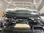 2024 Ford F-150 SuperCrew Cab 4x2 Pickup for sale #S0842A - photo 34