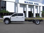 2025 Ford F-450 Crew Cab DRW 4x4 Cab Chassis for sale #S1072 - photo 3