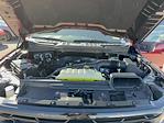 2025 Ford F-150 SuperCrew Cab 4x2 Pickup for sale #S1141 - photo 38
