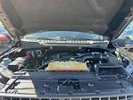 2018 Ford F-150 SuperCrew Cab 4x2 Pickup for sale #S1331A - photo 31